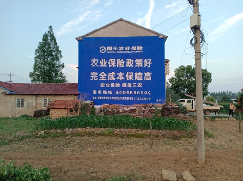 黄平墙体广告为何受追捧？